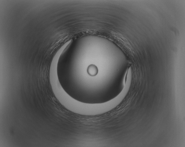 X0000116351060200912291627