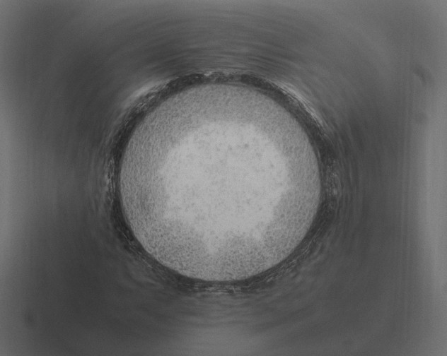 X0000116351063200912291627