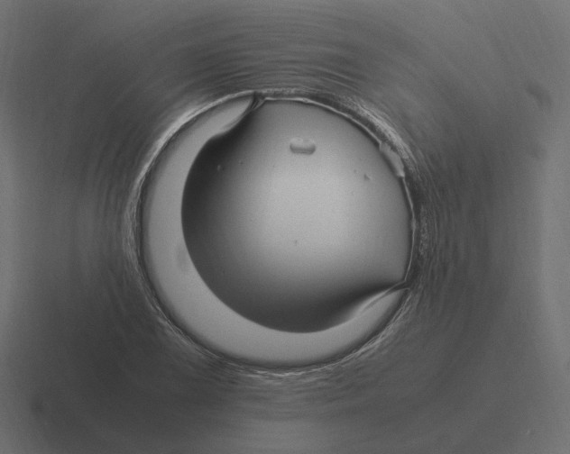 X0000116351075200912291627