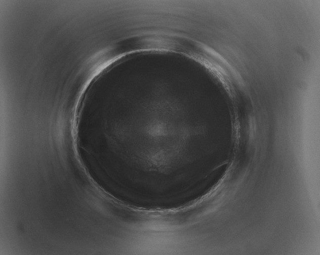 X0000116351077200912291627
