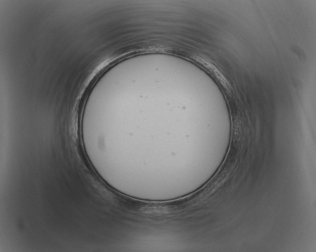 X0000116351083200912291627