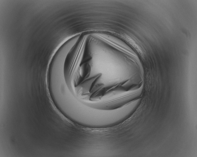 X0000116351084200912291627