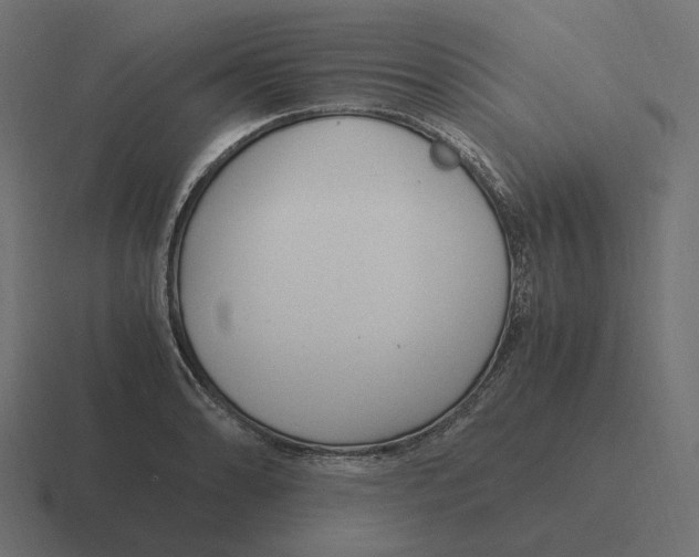 X0000116351086200912291627