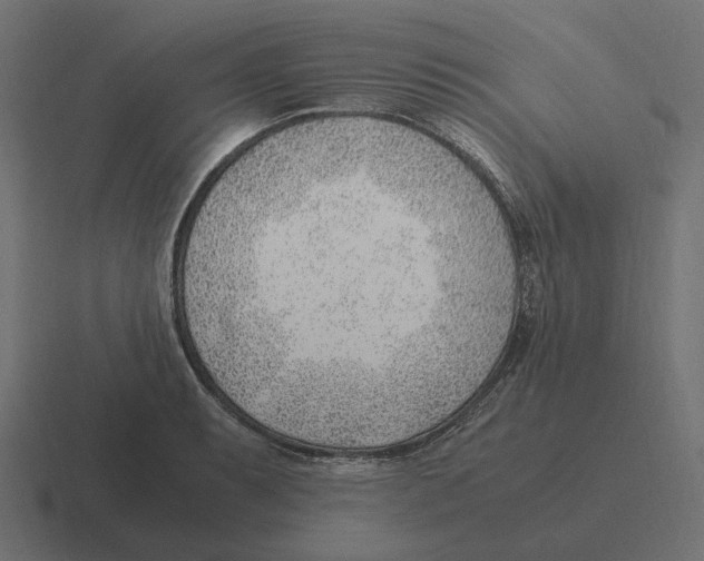 X0000116351087200912291627
