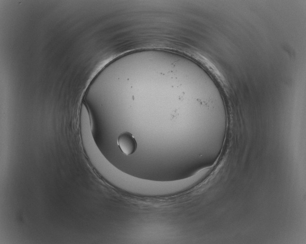 X0000116351097200912291627