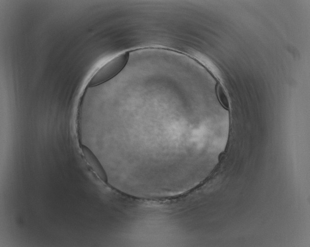 X0000116351104200912291626