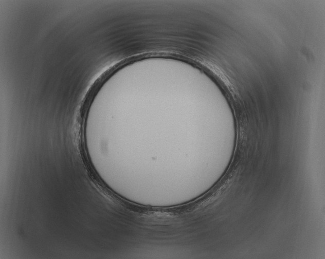 X0000116351119200912291626
