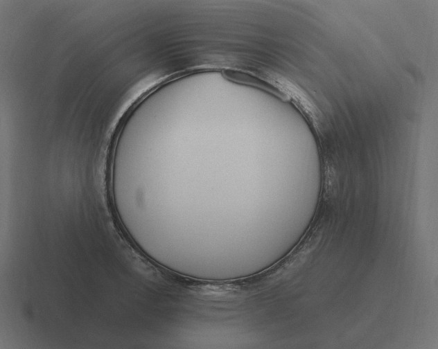 X0000116351138200912291626