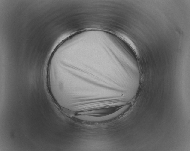 X0000116351146200912291626