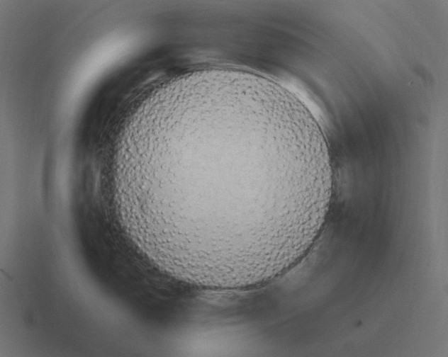X0000116351150200912291626