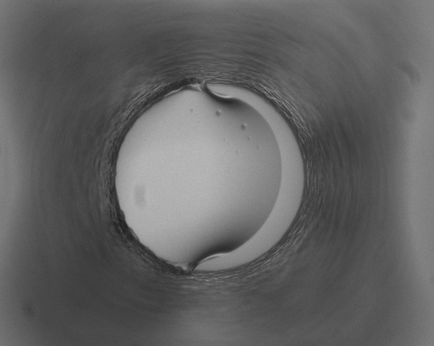 X0000116351153200912291626