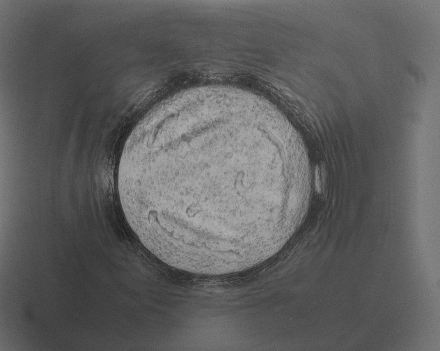 X0000116351155200912291626