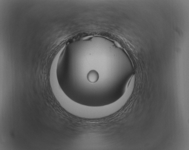 X0000116351157200912291626