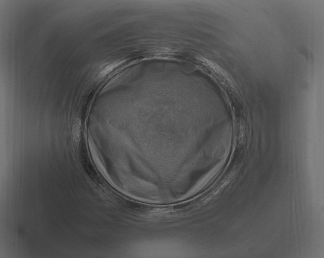 X0000116351161200912291626