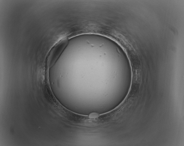 X0000116351165200912291626
