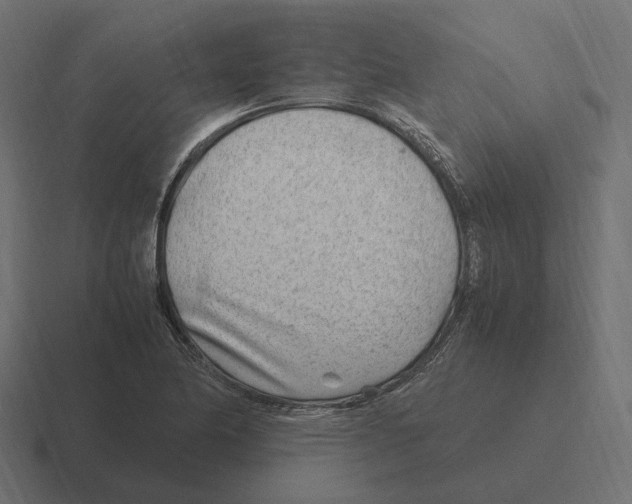 X0000116351174200912291626