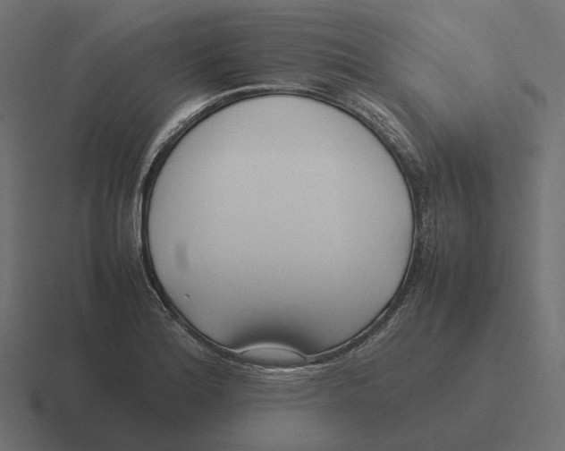 X0000116351180200912291626