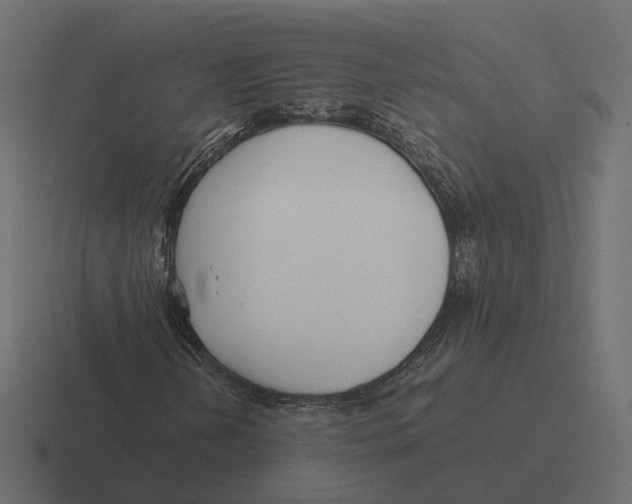 X0000116351202200912291625