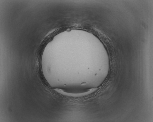 X0000116351206200912291625