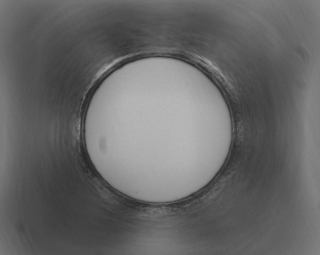 X0000116351220200912291625