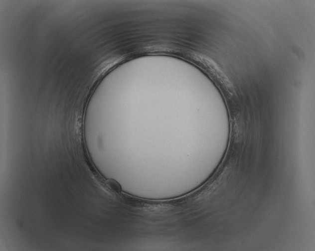 X0000116351225200912291625