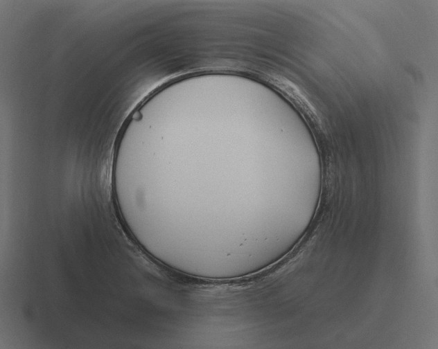 X0000116351228200912291625