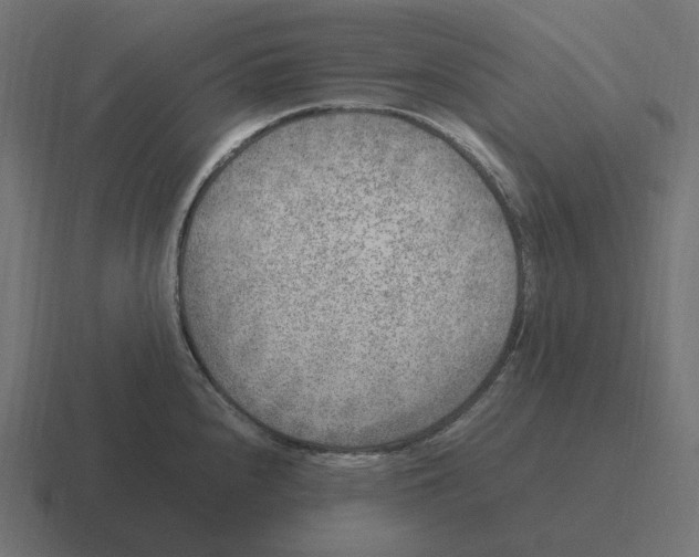 X0000116351240200912291625