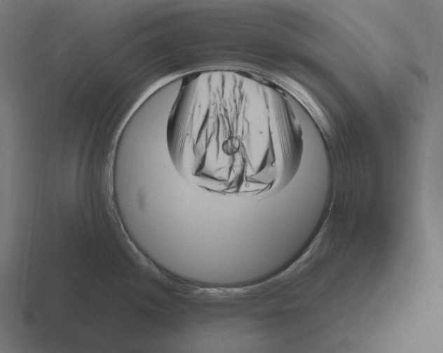 X0000116351244200912291625