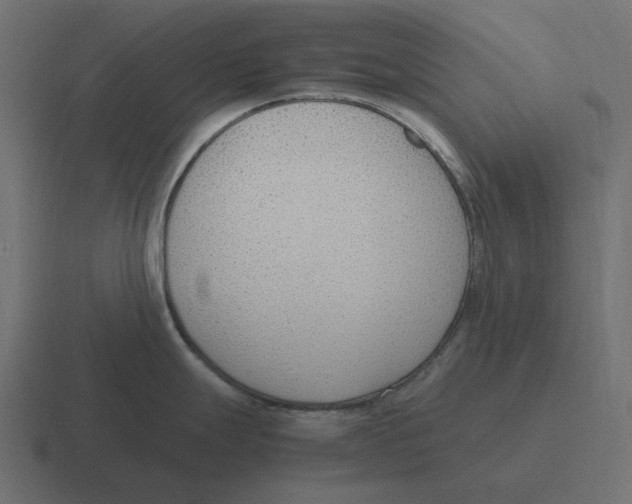 X0000116351247200912291625