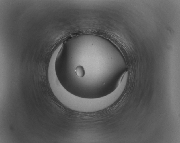 X0000116351252200912291625
