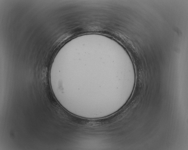 X0000116351265200912291624