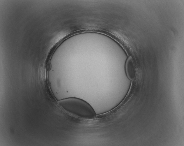 X0000116351269200912291624
