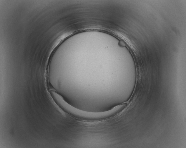 X0000116351282200912291624