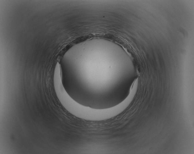 X0000116351298200912291623