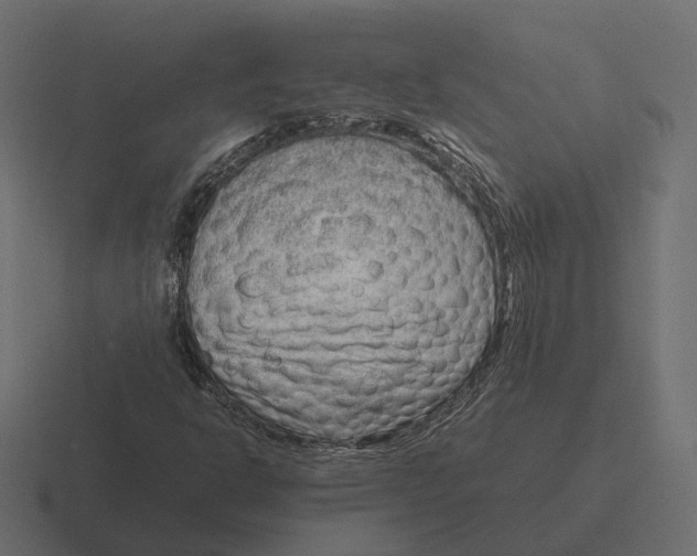 X0000116351302200912291624