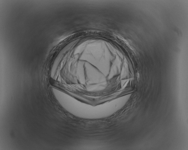 X0000116351303200912291624
