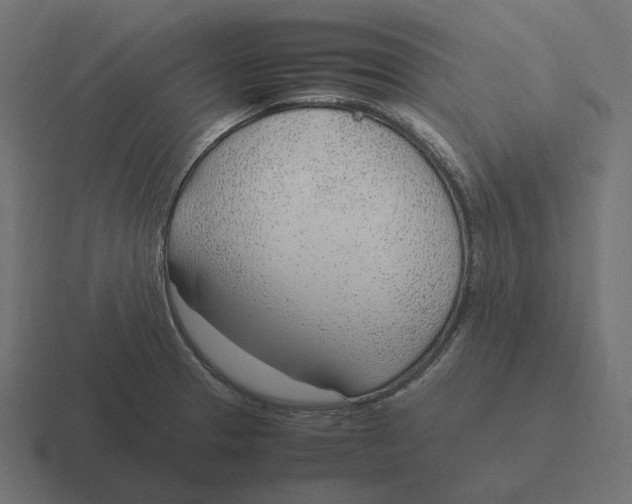 X0000116351329200912291624