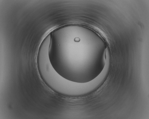X0000116351330200912291624