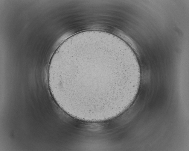 X0000116351338200912291624