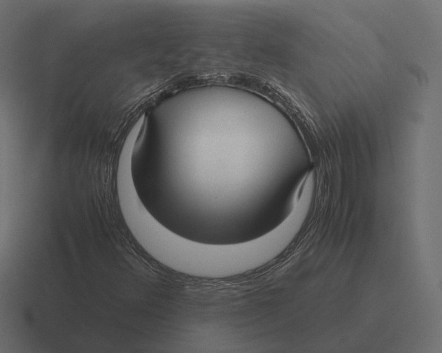 X0000116351348200912291623