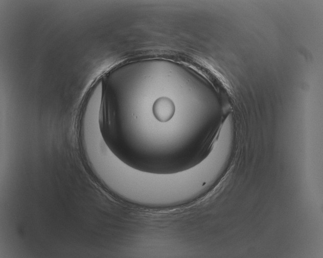 X0000116351357200912291623
