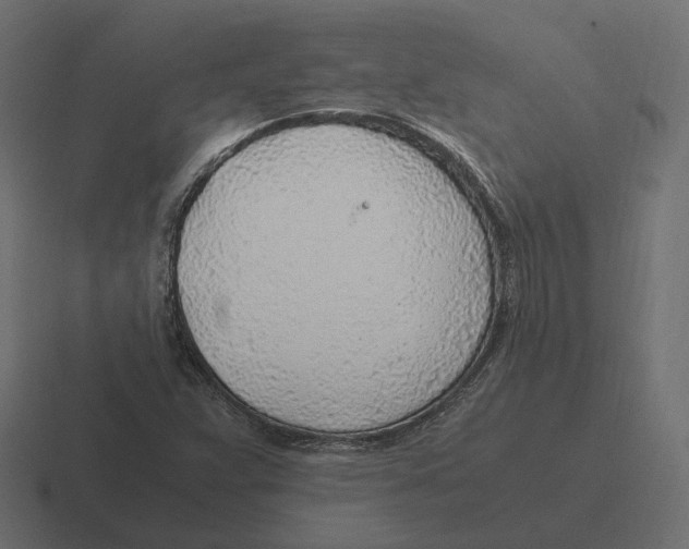 X0000116351359200912291623
