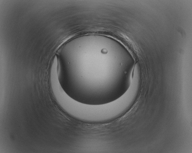 X0000116351361200912291623