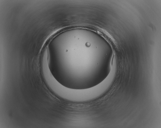 X0000116351364200912291623
