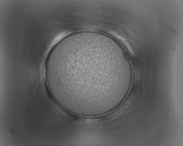 X0000116351365200912291623