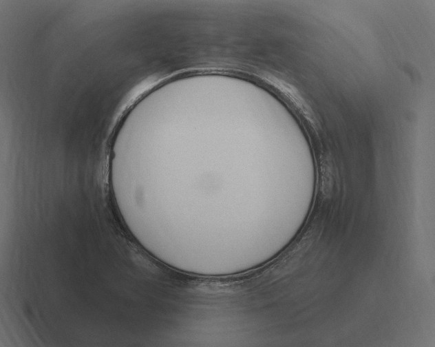 X0000116351366200912291623