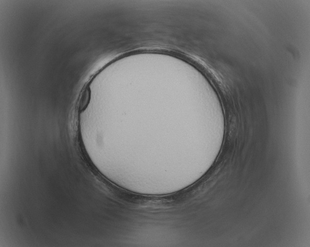 X0000116351367200912291623