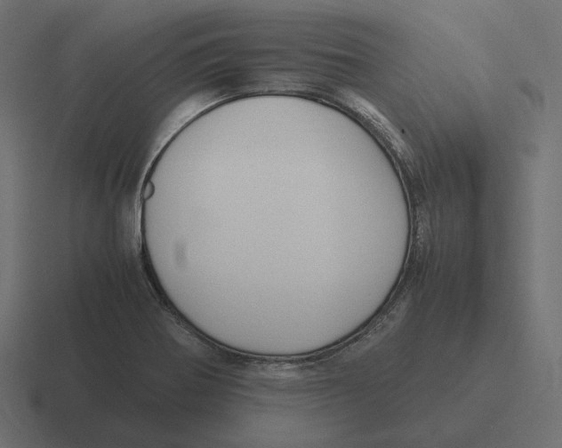 X0000116351370200912291623