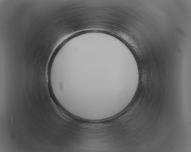 X0000116351372200912291623