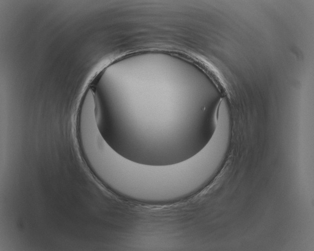 X0000116351373200912291623